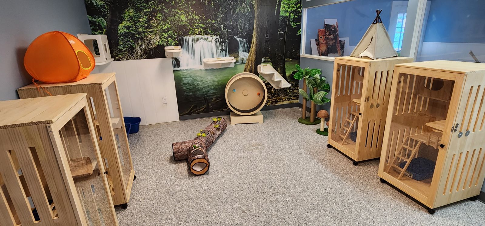 Cat relaxing in a cozy indoor playroom
